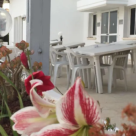 Aparthotel Blue Crane Apts Limassol